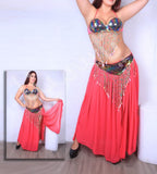 A belly dancing suit made of chiffon with embroidery of shiny threads