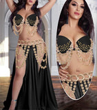 Belly dance suit - embroidered with chains of roses and pearls